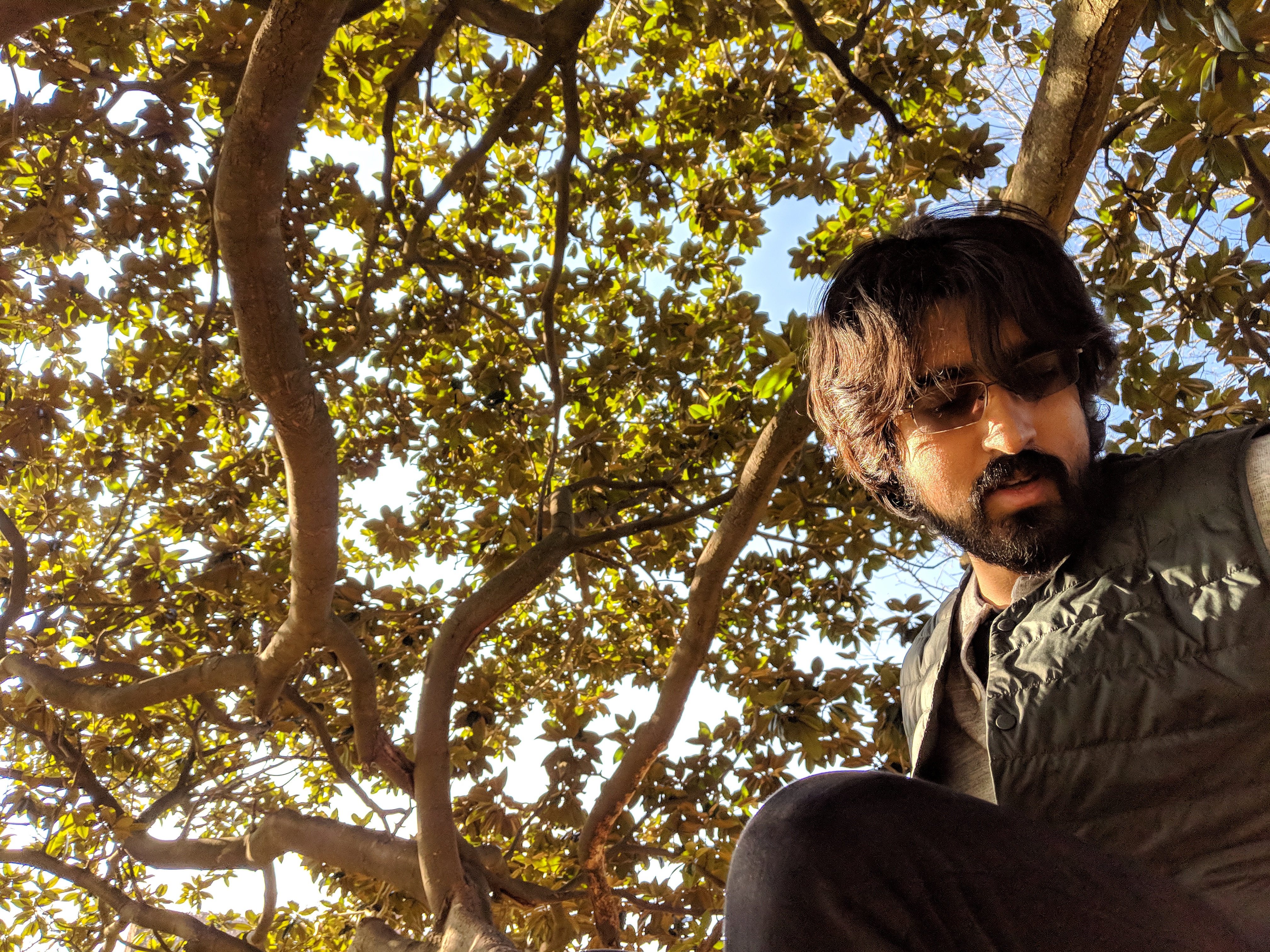 I like climbing trees. I like climbing trees.